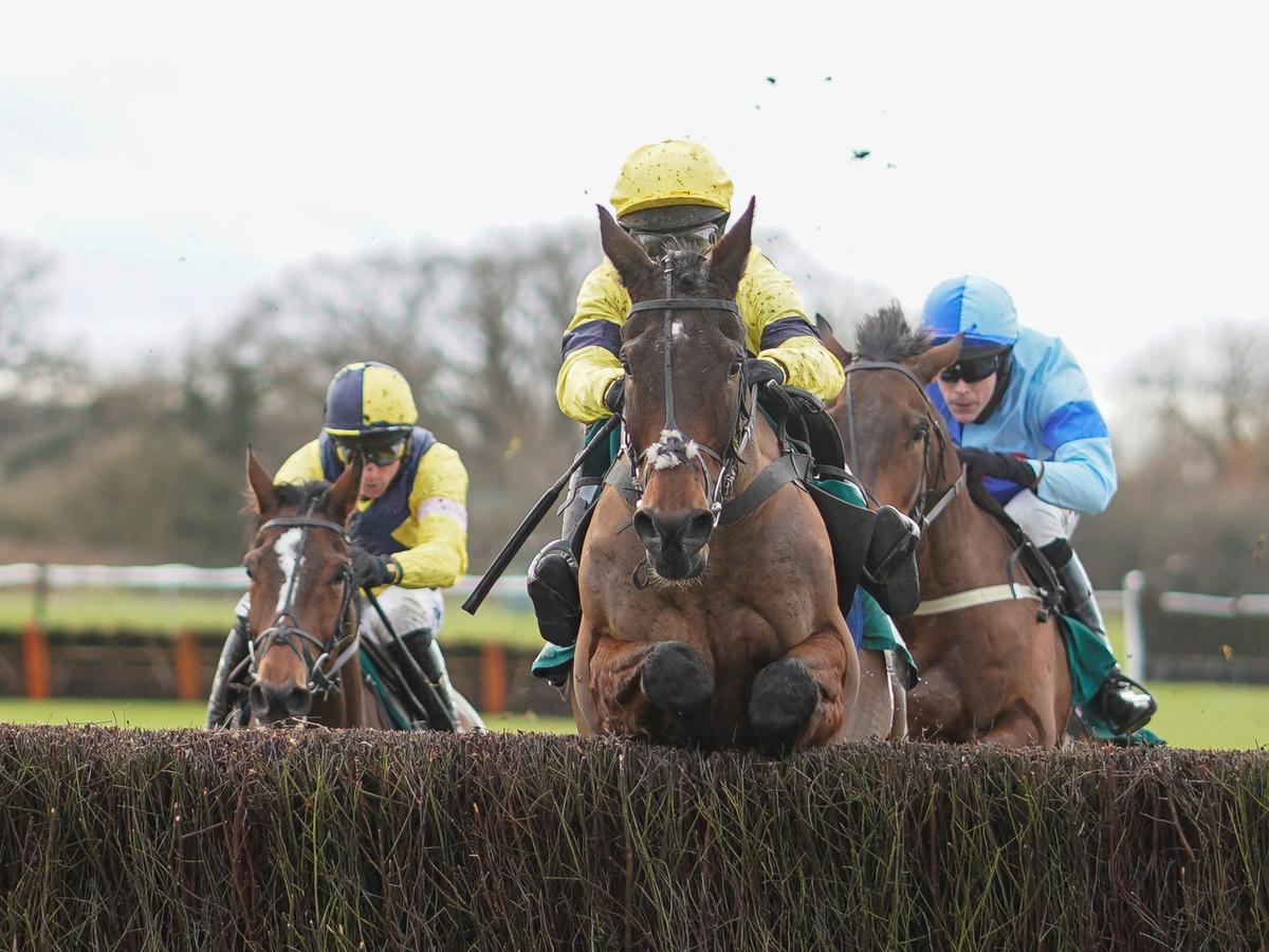 Cheltenham Countdown: Energumene looks top notch in Naas workout
